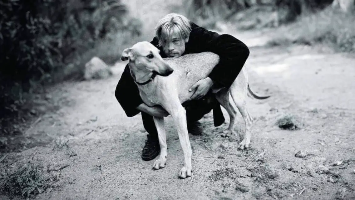 Brad Pitt dog rescue argentina filming